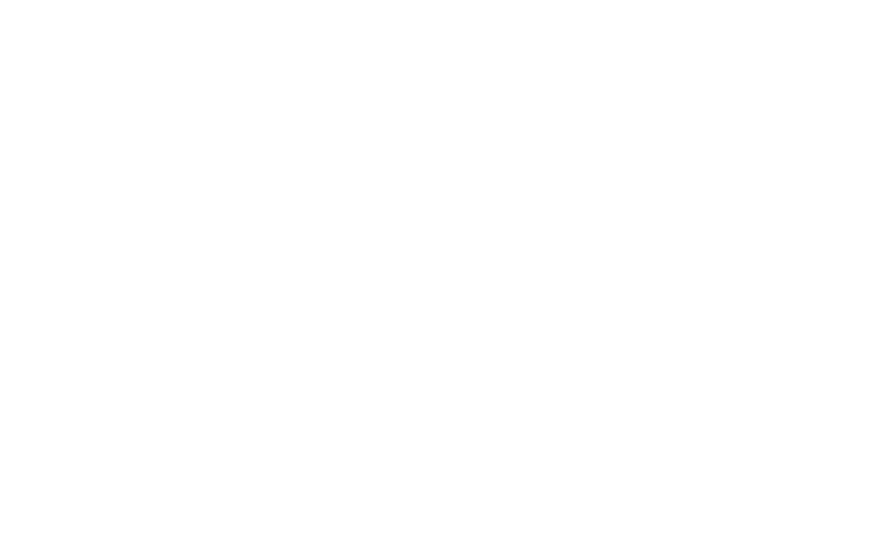 partow ads logo white